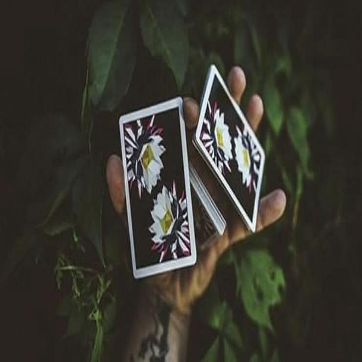 Carpe Noctem