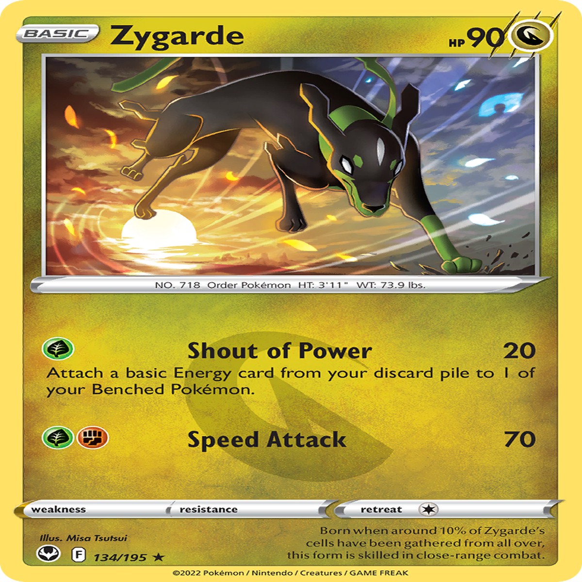 Zygarde 134195 - Silver Tempest